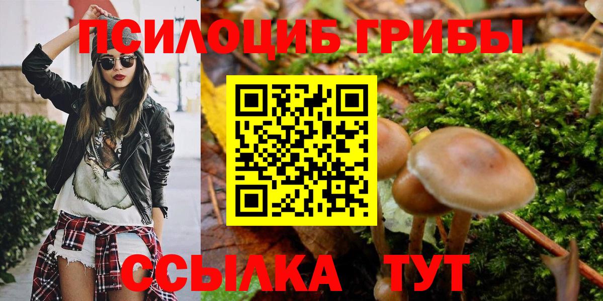 Псилоцибиновые грибы GOLDEN TEACHER Баксан