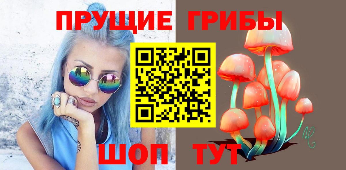 Баксан  Галлюциногенные грибы прущие грибы  Вход с VPN 